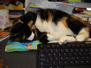Payback: my light disrupts her sleep